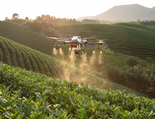 Pesticide industry